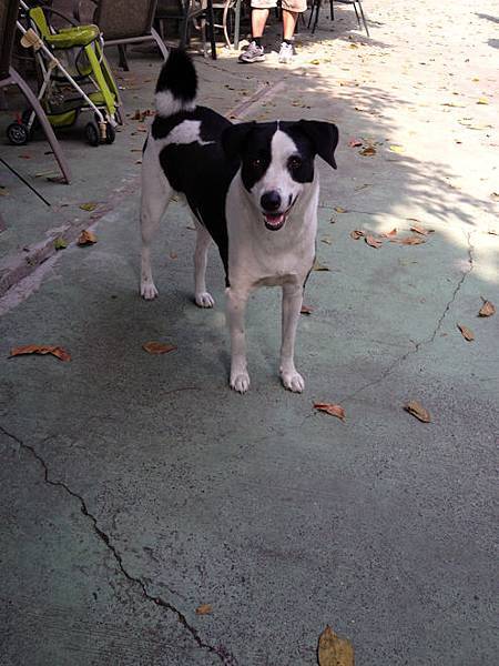 21121104-22 21121104-22