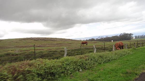 DSC01853.JPG DSC01853.JPG
