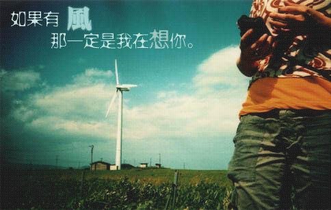 如果有风，那一定是我在想你.jpeg