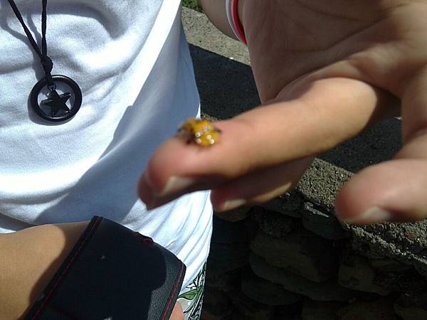 20110722797.JPG 20110722797.JPG