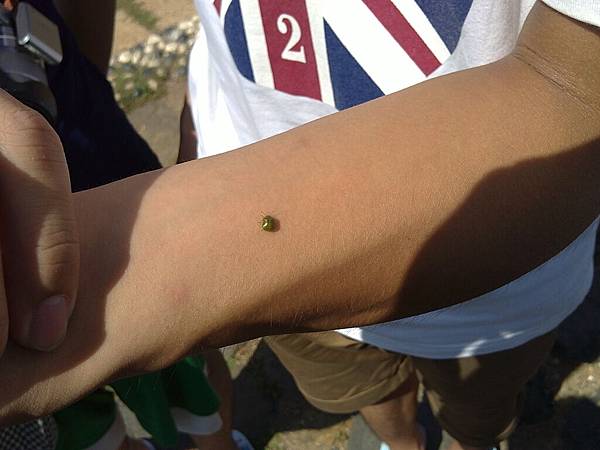 20110722798.JPG 20110722798.JPG