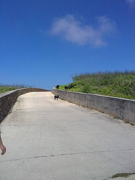 20110722809.JPG 20110722809.JPG
