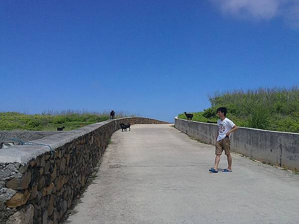 20110722810.JPG 20110722810.JPG