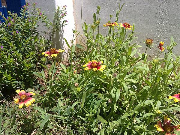 20110723920.JPG 20110723920.JPG