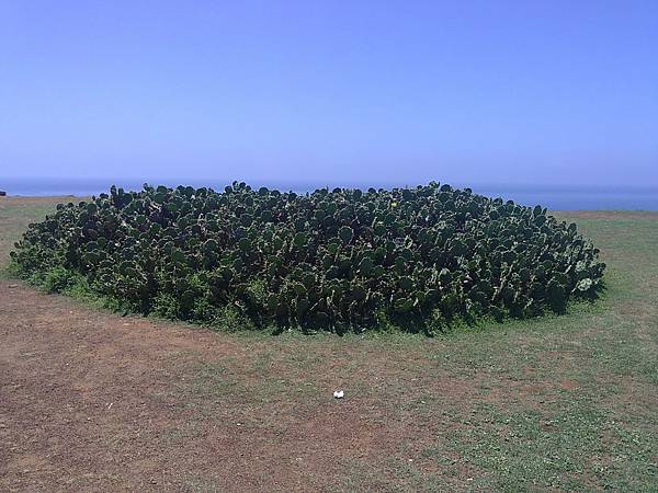 20110723953.JPG 20110723953.JPG