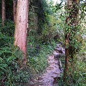 R0012028.JPG R0012028.JPG