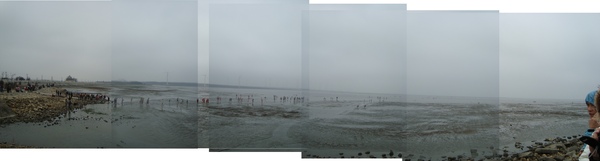 高美溼地全景.jpg 高美溼地全景.jpg