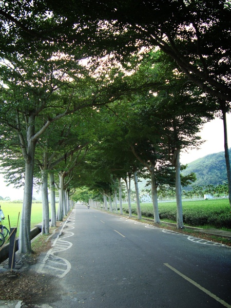DSC01580_lomo.jpg DSC01580_lomo.jpg