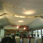 DSC01621.JPG DSC01621.JPG
