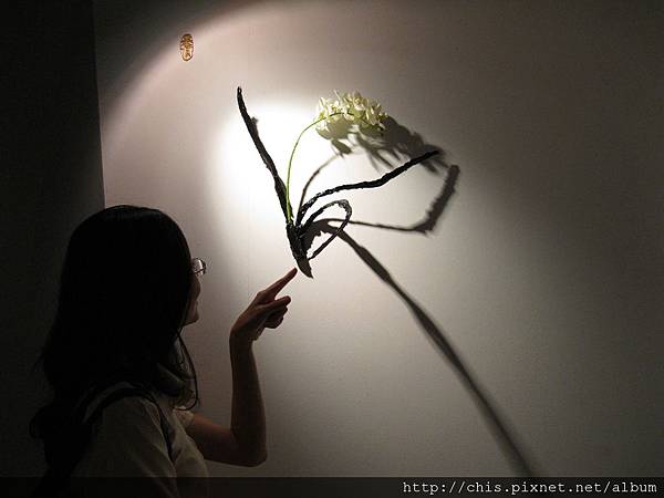 IMG_1324.JPG IMG_1324.JPG