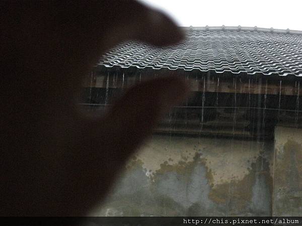 IMG_1339.JPG IMG_1339.JPG