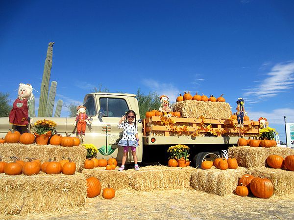 102514DesertBotanicalGarden 03700