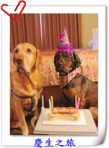 90510sedona 10700.jpg