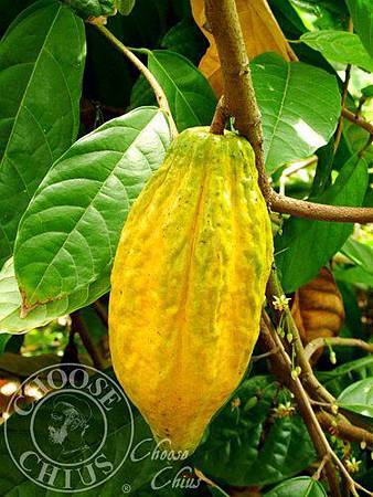 0R_FpWpZaMRDYoRafCOIAg.jpg 0R_FpWpZaMRDYoRafCOIAg.jpg