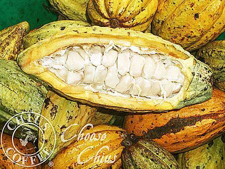 AvF6UcAzl0wHCkVJXZ.G6Q.jpg AvF6UcAzl0wHCkVJXZ.G6Q.jpg