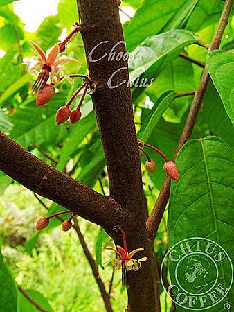 mQRQnSixAivZ9c5V8g9y4g.jpg mQRQnSixAivZ9c5V8g9y4g.jpg