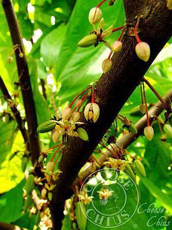 TermJXm7HAud1g5vAl6bOg.jpg TermJXm7HAud1g5vAl6bOg.jpg