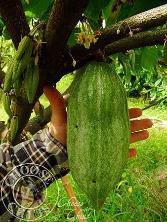 wGJKuPae4LCvRz4hUtAcfQ.jpg wGJKuPae4LCvRz4hUtAcfQ.jpg