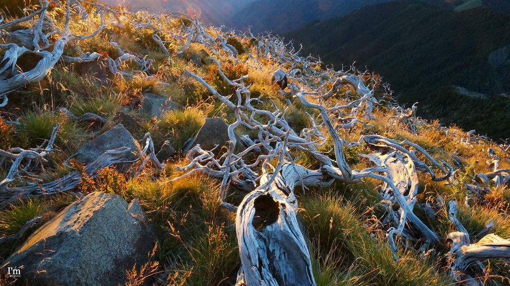 2014-1004-雪山-124