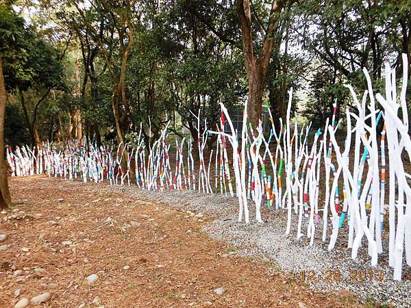 DSCN7286.JPG DSCN7286.JPG