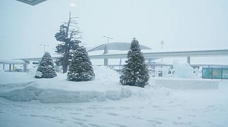 0206-0036.JPG 0206-0036.JPG