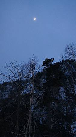 0206-0309.JPG 0206-0309.JPG