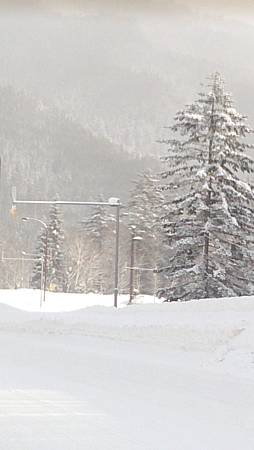 0207-0077.jpg 0207-0077.jpg