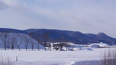 0207-0137.JPG 0207-0137.JPG