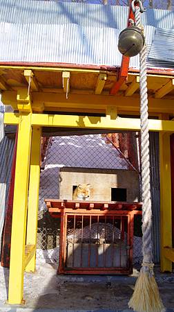 0207-0161.JPG 0207-0161.JPG