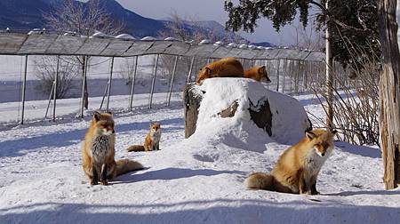 0207-0169.JPG 0207-0169.JPG