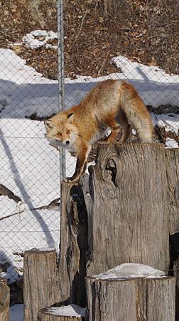 0207-0191.JPG 0207-0191.JPG