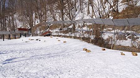 0207-0199.JPG 0207-0199.JPG