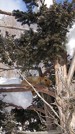 0207-0209.JPG 0207-0209.JPG