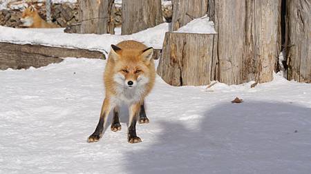 0207-0255.JPG 0207-0255.JPG