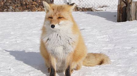 0207-0271.JPG 0207-0271.JPG