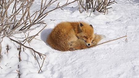 0207-0297.JPG 0207-0297.JPG