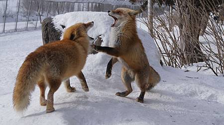 0207-0332.JPG 0207-0332.JPG