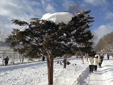 0207-0420-1.jpg 0207-0420-1.jpg