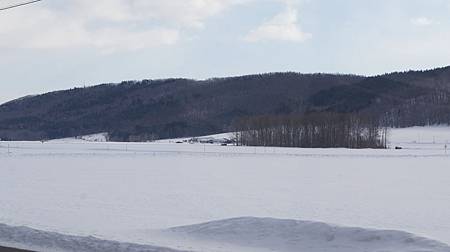 0207-0465.JPG 0207-0465.JPG