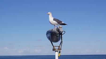 0207-1022.JPG 0207-1022.JPG