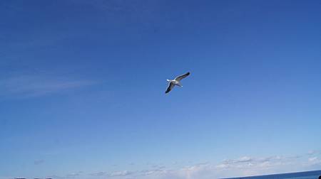 0207-1070.JPG 0207-1070.JPG