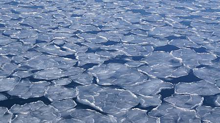 0207-1108.JPG 0207-1108.JPG