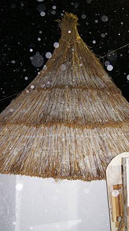 0207-1493.JPG 0207-1493.JPG