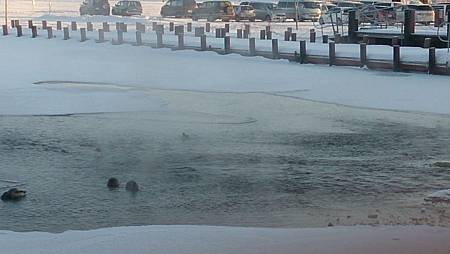 0208-0019.jpg 0208-0019.jpg