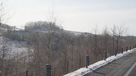 0208-0195.JPG 0208-0195.JPG