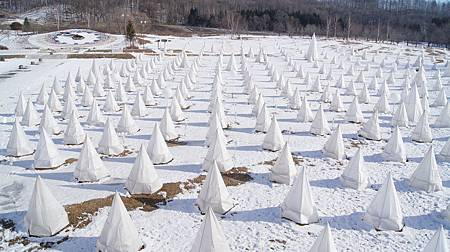 0208-0345.JPG 0208-0345.JPG