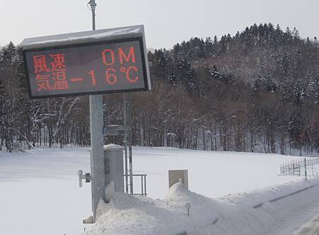 0208-0533.JPG 0208-0533.JPG