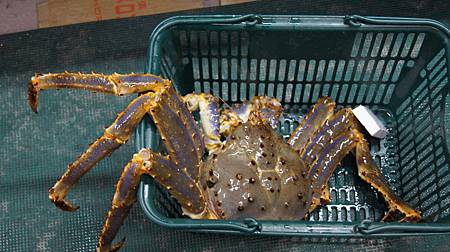 0208-0643.JPG 0208-0643.JPG