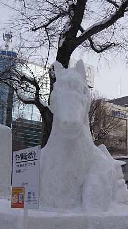 0209-0137.JPG 0209-0137.JPG