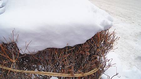 0209-0348.JPG 0209-0348.JPG